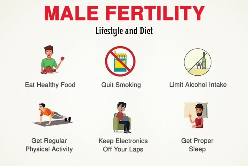 Nurturing Male Fertility Through Health Choices | Lifestyle and Diet | Male Infertility