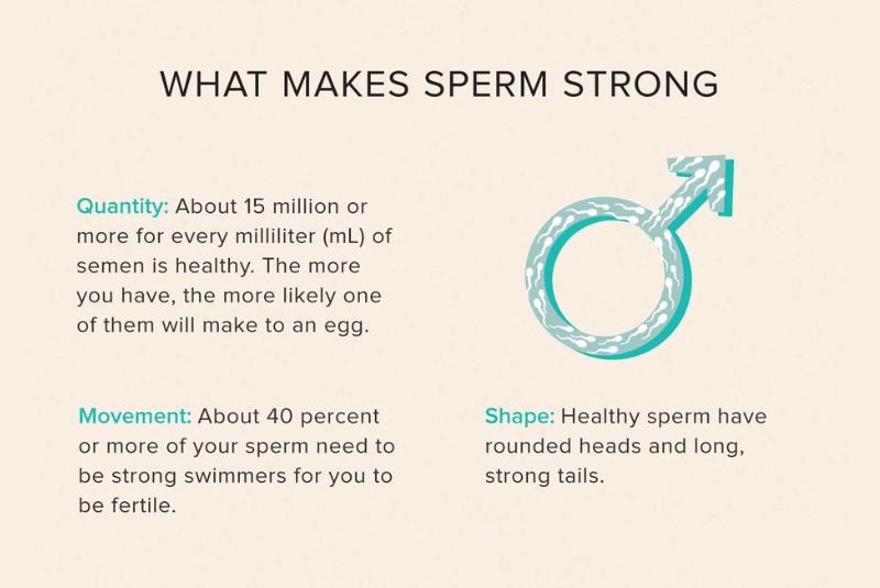 Nurturing Sperm Health and Quality for Optimal Reproductive Success | The Pinnacle of Fertility